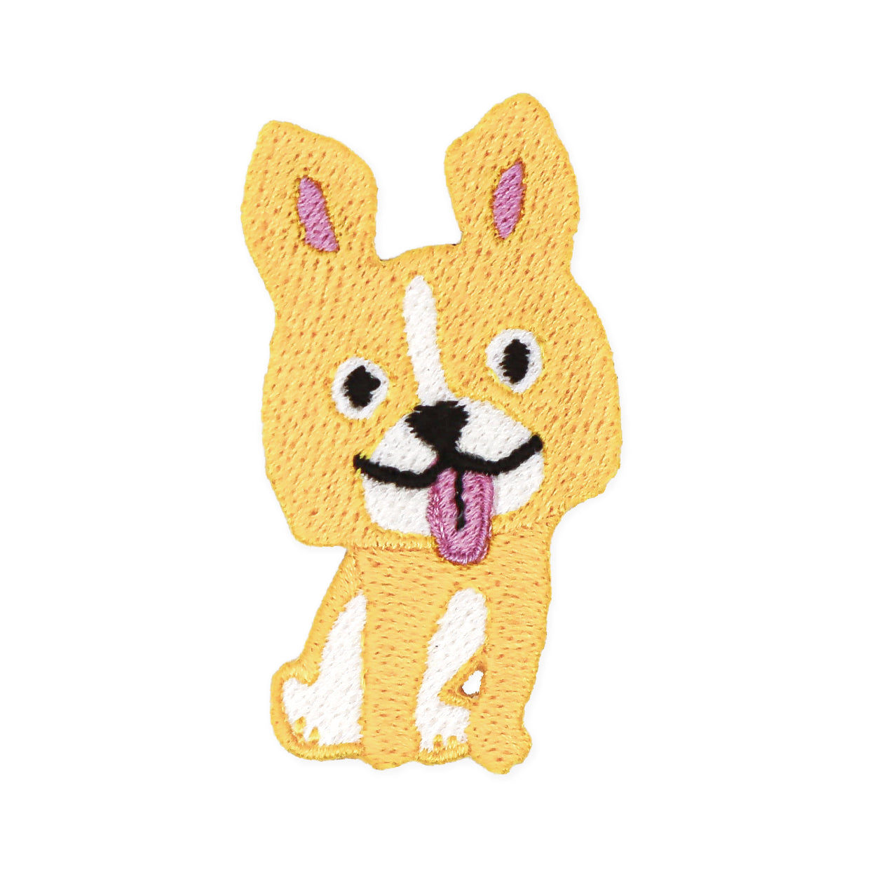 こっちをみてるきいろいわんこ
