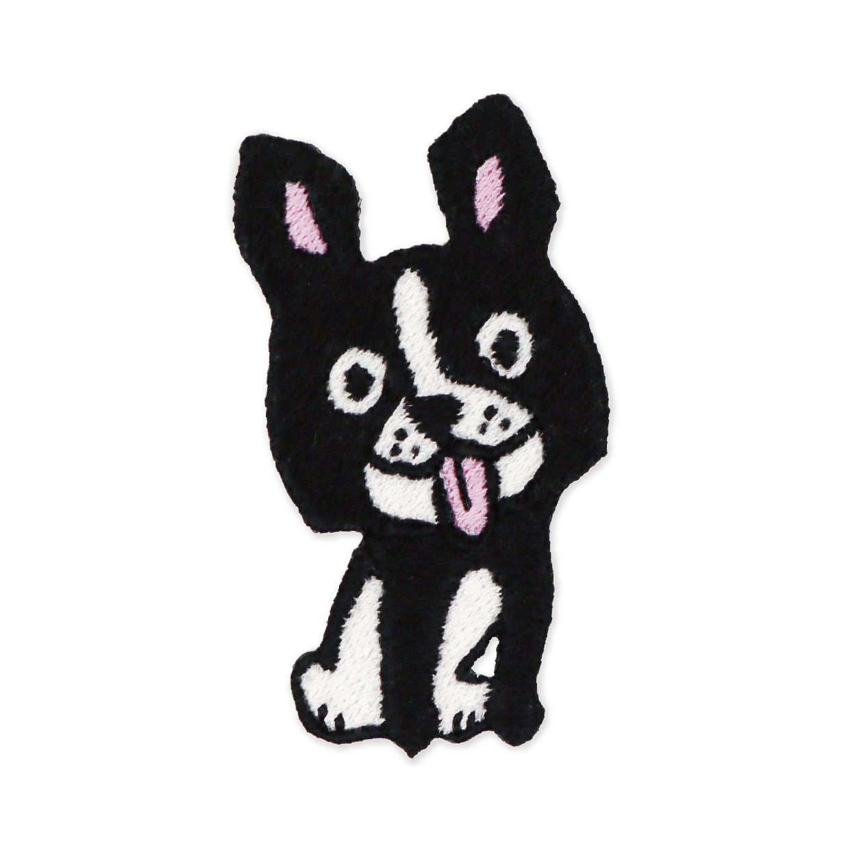 こっちをみてるしろくろわんこ