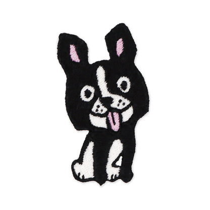 こっちをみてるしろくろわんこ
